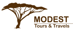 MODEST logo